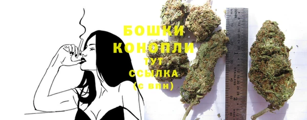 трава Гусев