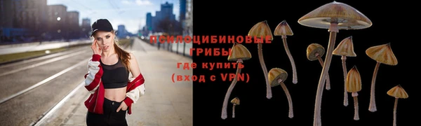 ECSTASY Гусиноозёрск