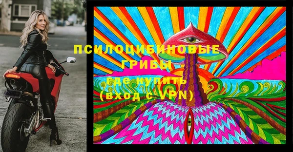 ECSTASY Гусиноозёрск