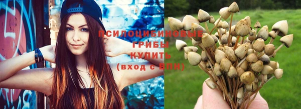 ECSTASY Гусиноозёрск
