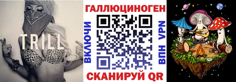 Купить  Старая Русса  Псилоцибиновые грибы мицелий 